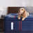 Sealy Posturepedic® Elite Brenham II 16" Medium Pillowtop Innerspring Mattress-113671934