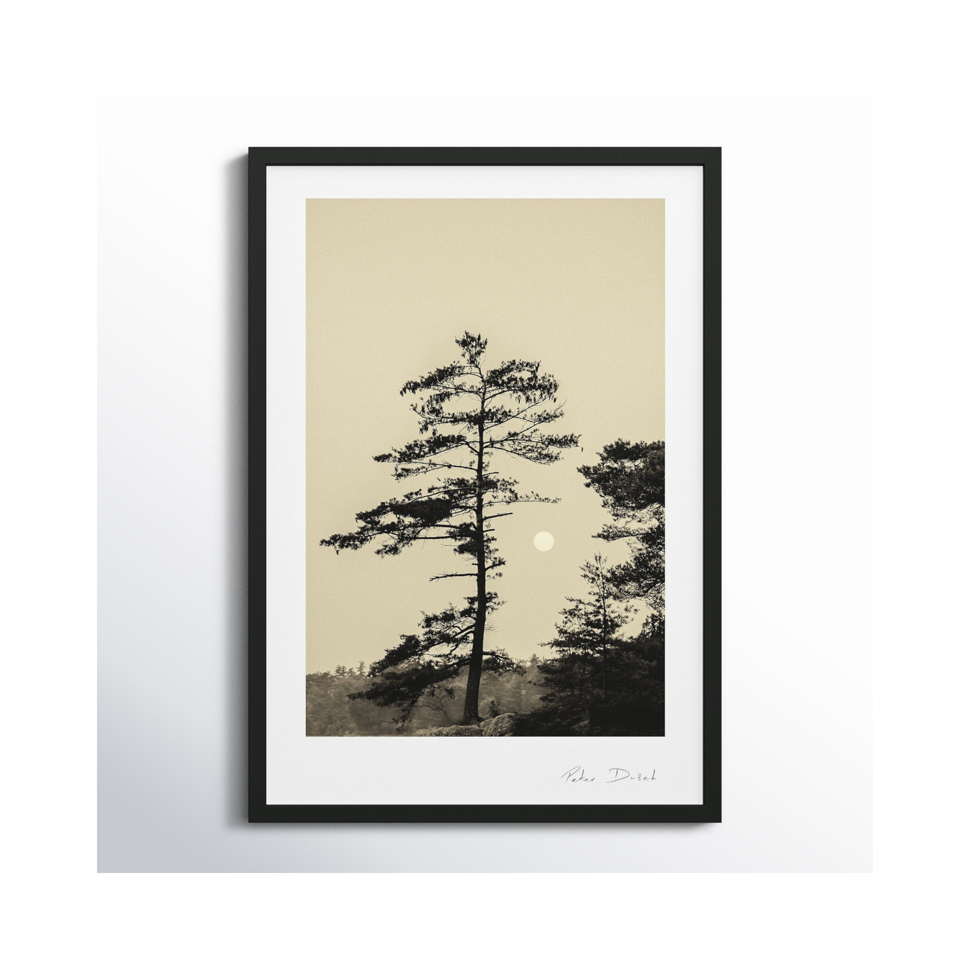Serenity by Peter Dušek, Black, 30" H x 21" W x 1.25" D