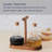 Mikasa Glenwood 3-Piece Cruet Set