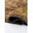 Traditional Oriental-2129604571
