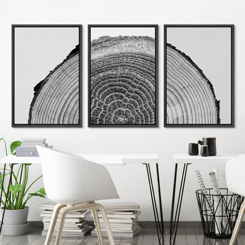 Black Framed Nature Tree Rings Canvas Print Set