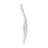 15.7" W X 16.1" H, White Botanic Breeze Modern Leaf Wall Art Decor-219473308