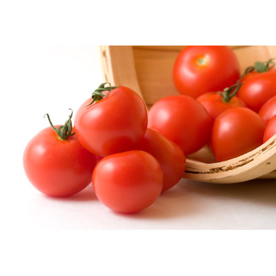 Tomatoes - Wrapped Canvas Print