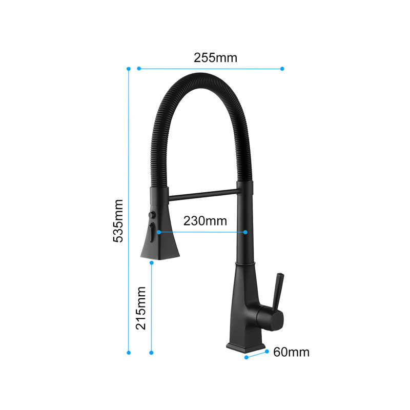 Robinet de cuisine avec douchette extractible