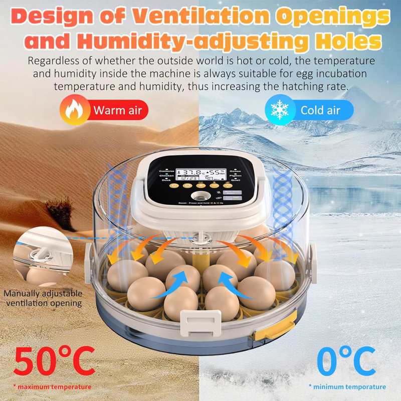 18 couveuses pour couver les œufs, couveuse avec retournement automatique et contrôle de l'humidité