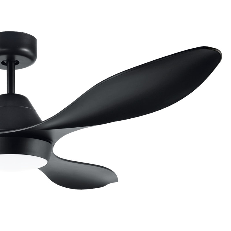 Ashtyn 132cm Ceiling Fan with LED Lights, Matt Black