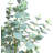 35.43 " H Faux Eucalyptus Tree
