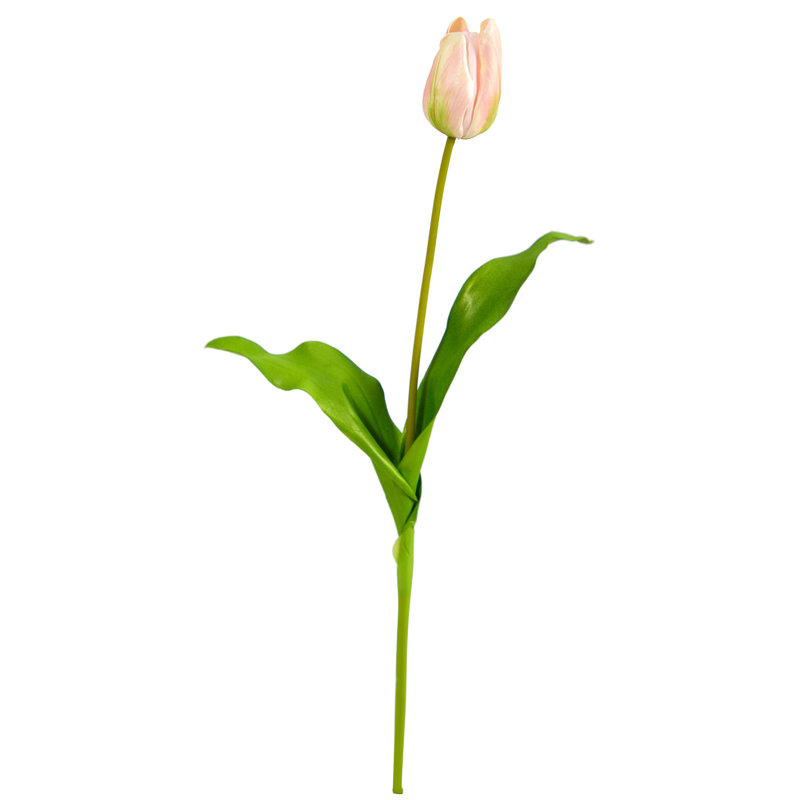 Tulip Arrangement, Pink