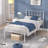 Orabelle Metal Bed-2029868768