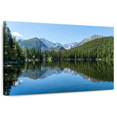 Arbres Alvord Bear Lakeside