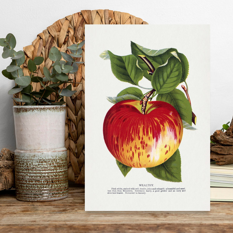 «Wealthy Apple Lithograph Abstract Retro Vintage Flower Landscape», art mural, H 18 po x l 12 po