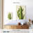 Harnek Front Yard Cactus II-108427007