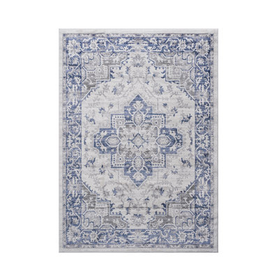 Collection Blue / Grey / Oriental Area Rug