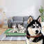 Pet Bed