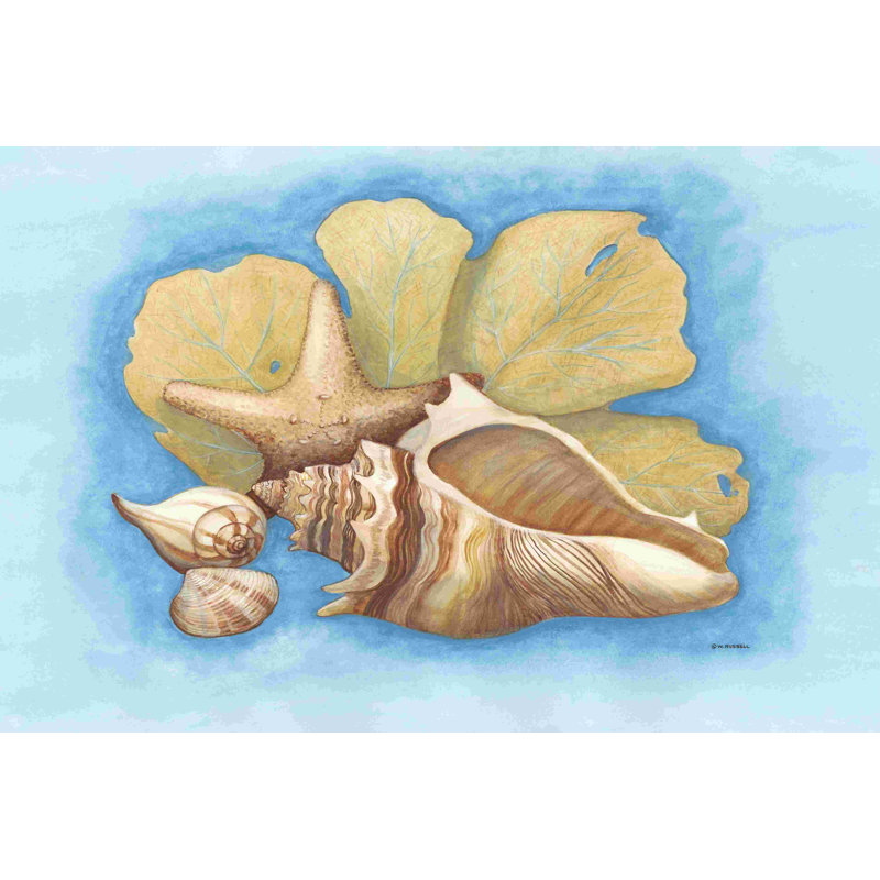 Seashells & Seafan II by Wendy Russell - Wrapped Canvas Print, 8" H x 12" W  