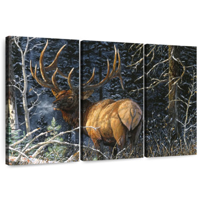 Brampt Legacy Bull