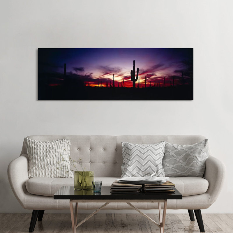 Brilliant Sunset, Saguaro National Park, Pima County, Arizona, USA 1 Piece Wrapped Canvas Panoramic Wall Art