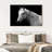 Brampt Horse Headshot-107719615