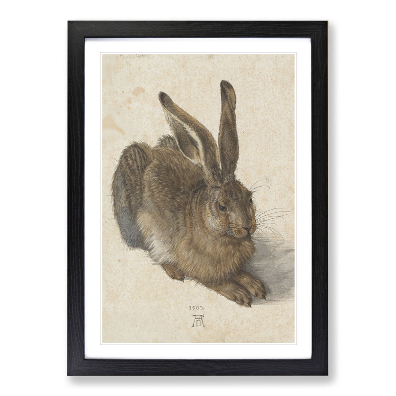 Hare by Albrecht Dürer - Framed Print, 90cm H x 65cm W x 2cm D, Black Framed