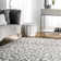 Ruiz Modern Leopard Print Performance Grey Rug