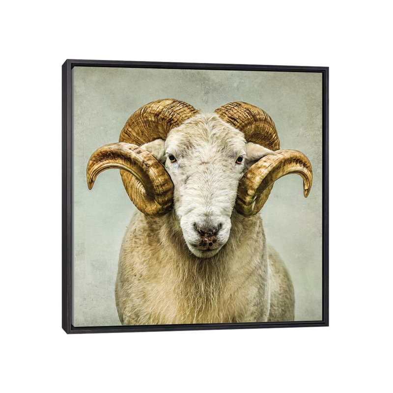 « Stare » par Mark Gemmell-impression d’art graphique, Pas de tapis, H 37 po x l 37 po x P 1,5 po