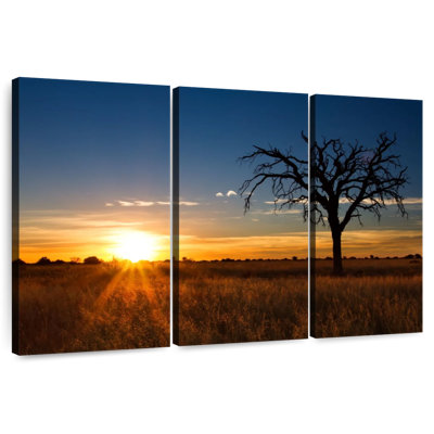 Kalahari Sundown