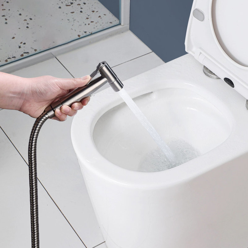 Fixation de bidet bidet avec support de pulvérisateur, valve en T et tuyau flexible inclus, Argent argent
