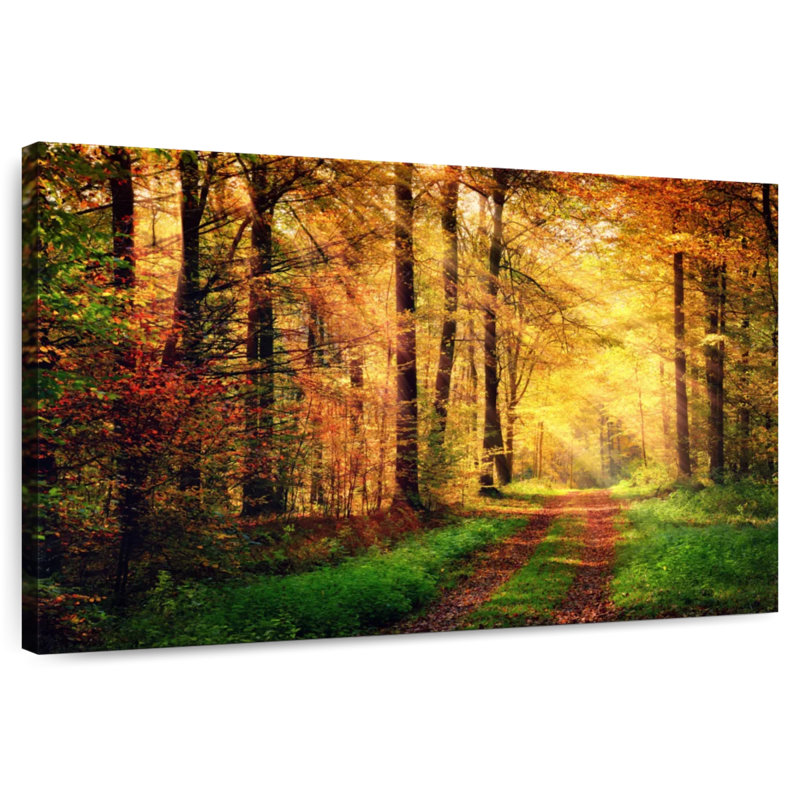 Alvord Walkway In The Forest