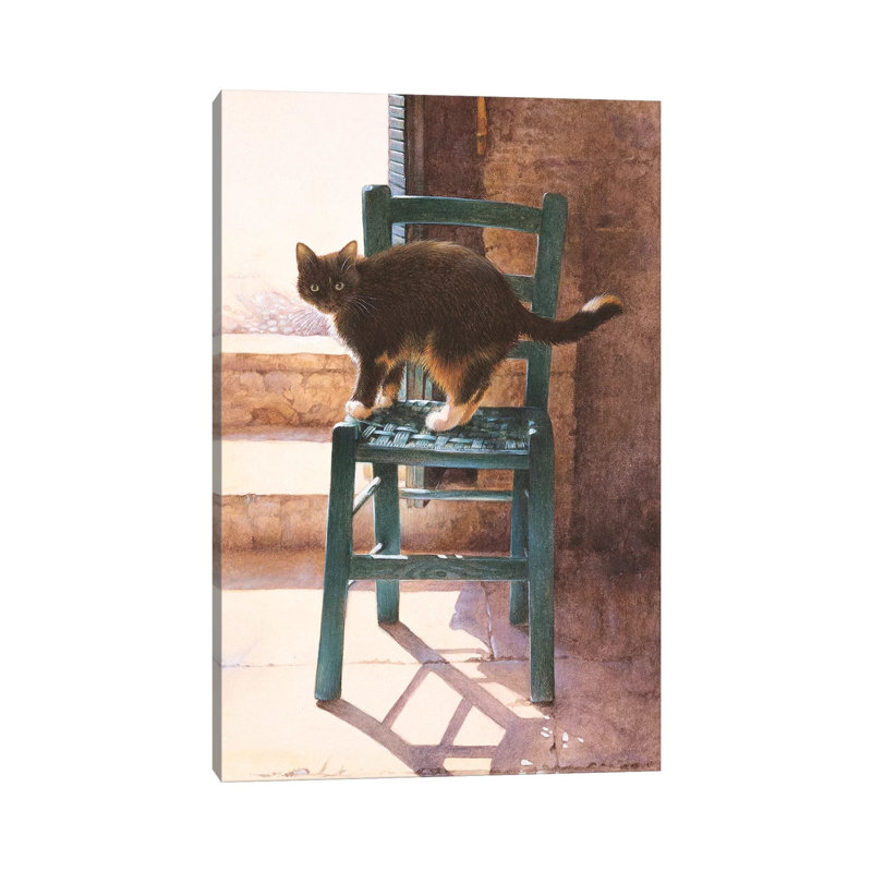 Motley in a Mediterranean Interior Cats 1 Piece Wrapped Canvas Wall Art, 20.32 cm H x 30.48 cm W