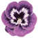 Wendover Floral Indoor Rug