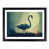 Black Framed selected