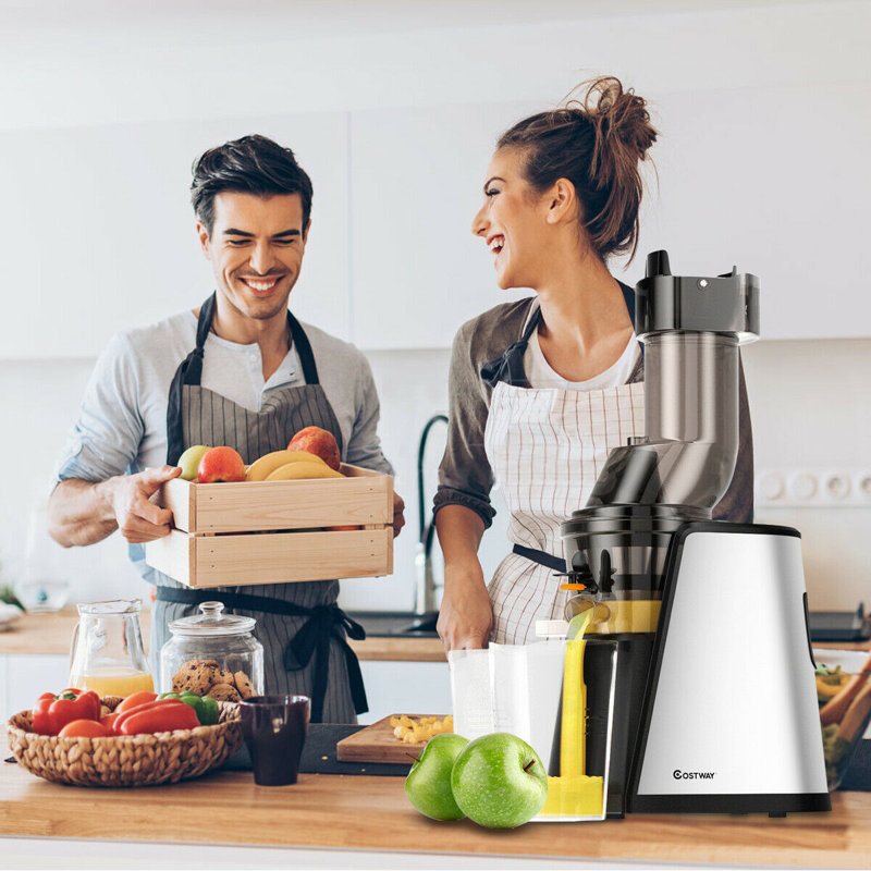 Costway Slow Masticating & Cold Press Juicer