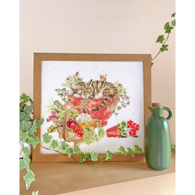 Purrrfect Spot XHD149 Counted Cross Stitch Kit
