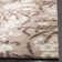 Flanery Shag Performance Floral Rug