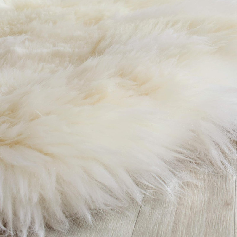 Tapis Novelty Leontes, Nouveauté 4 pi x 6 pi