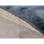 Paetynn Area Rug in Blue