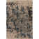 Adney Oriental Indoor Rug