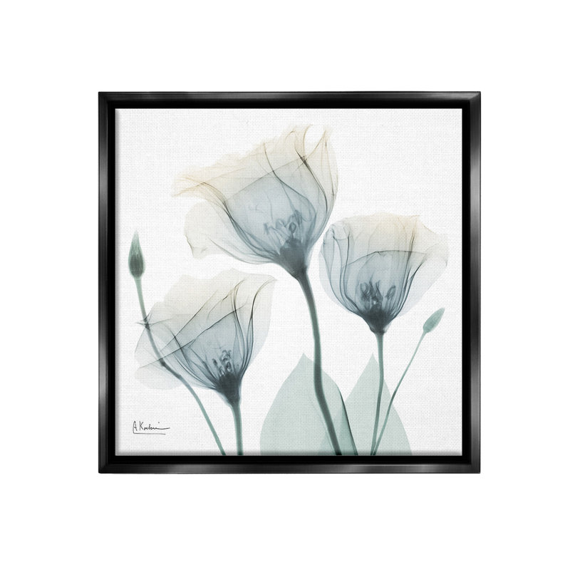 «Soft Opaque Tulips Floater Frame» par Albert Koetsier sur, H 25 po x l 25 po, Cadre flottant noir de jais