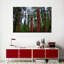 «Vibrant Redwood», reproduction sur toile-479248782