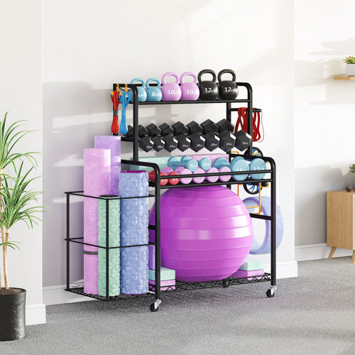 The Twillery Co. Tomaso Metal Free-standing Multi-Use Sports Rack ...