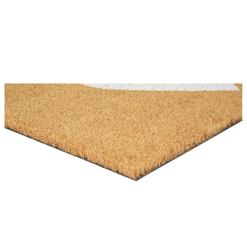 Indoor Doormat, 24" W x 48" L