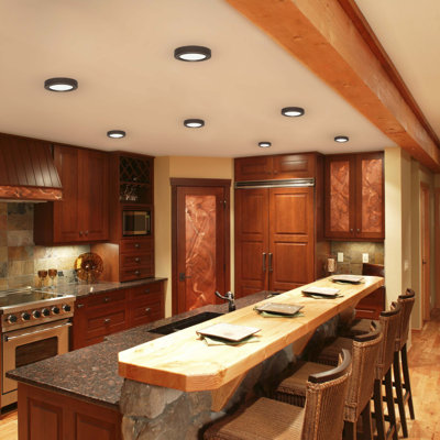 Speidel LED Flush Mount
