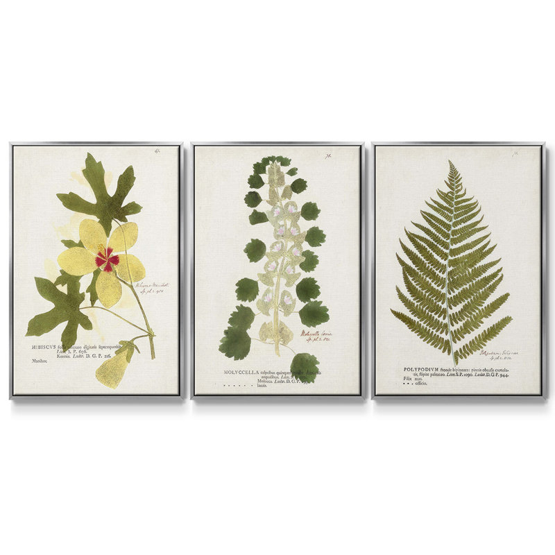 Ensemble de 3 pièces encadrées sur toile Nature, Argent, H 27 po x l 54 po