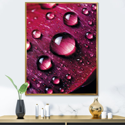 " Red Rose With Raindrops XII "