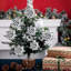5.7cm Solid Colour Ornament Accessory-292738794