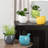 Zygi Bird Gloss Ceramic Planter Pot for 4" Nursery Pots (White)-2050265104