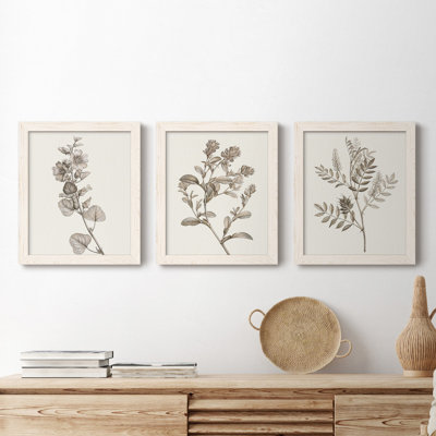 Neutral Botanical Study I - Ensemble de 3 reproductions d'art sur toile