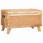 Camp Trunk / Footlocker-4186715