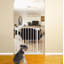 Pressure Mounted Pet Gate-9066158-7565434