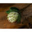 Arrangement-817523928-817523929